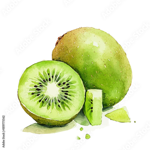 A_painting_of_fresh_kiwi_on_a_white_Hand-painted watercolor style, vector set available in EPS, vectorized, vegetables set