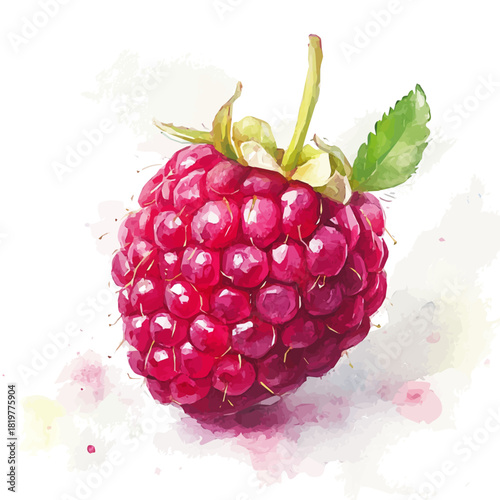 raspberry painting design set
Hand-painted style, vectorized, vector set available in EPS, Simple Hand-painted watercolor style, fruit set