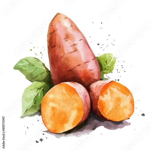 Cute sweet potato painting design set
Hand-painted style, vectorized, vector set available in EPS, Simple Hand-painted watercolor style, Halloween set