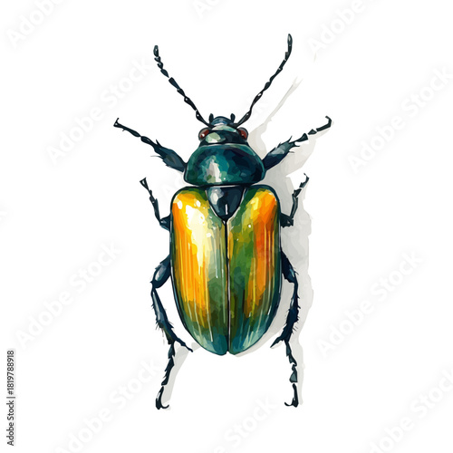 A_painting_of_beetle_on_a_white_Hand-painted watercolor style, vector set available in EPS, vectorized, vegetables set