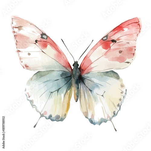 Beautiful butterfly painting design set, Hand-painted style, vectorized, vector set available in EPS, Simple Hand-painted watercolor style animal set