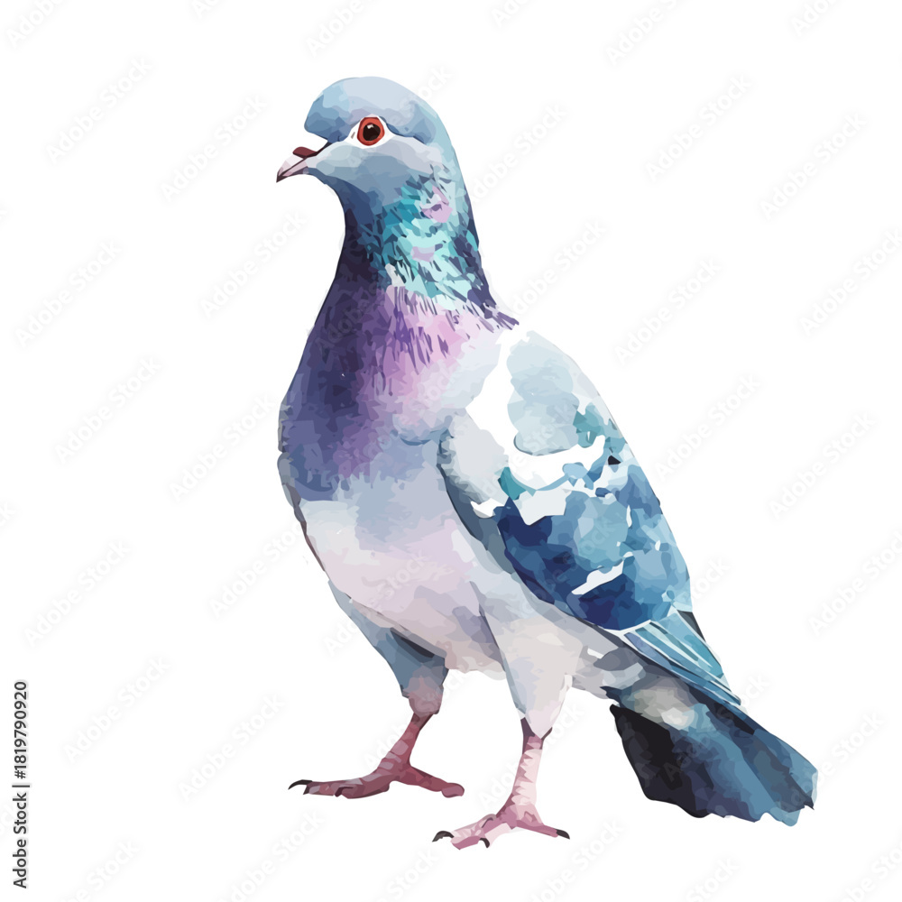 Obraz premium Colorful pigeon painting design set. Hand-painted style, vectorized, vector set available in EPS, Simple Hand-painted watercolor style bird