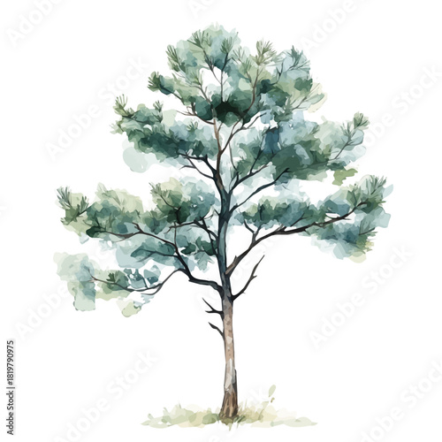Beautiful pine_tree painting design set Hand-painted style, vectorized, vector set available in EPS, Simple Hand-painted watercolor style