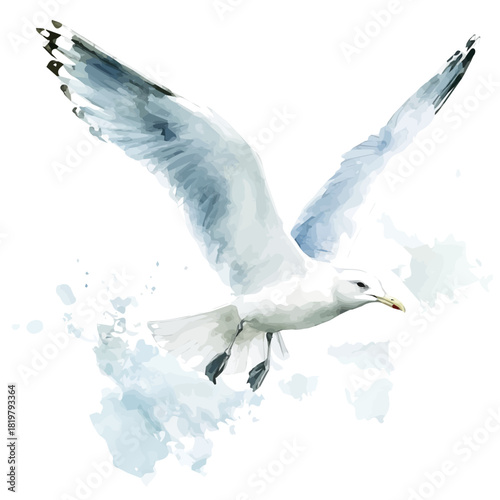 Beautiful seagull on sky painting design set Hand-painted style, vectorized, vector set available in EPS, Simple Hand-painted watercolor style