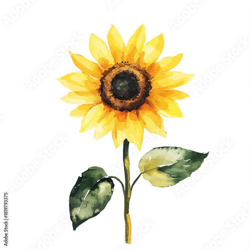 Beautiful sunflower painting design set Hand-painted style, vectorized, vector set available in EPS, Simple Hand-painted watercolor style