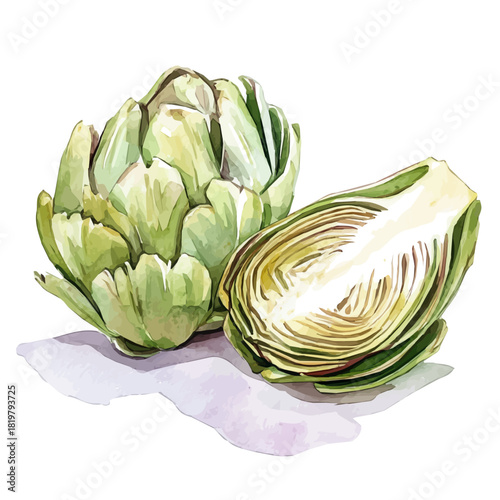 Beautiful sliced artichoke painting design set Hand-painted style, vectorized, vector set available in EPS, Simple Hand-painted watercolor style
