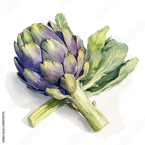 Beautiful green purple artichoke painting design set Hand-painted style, vectorized, vector set available in EPS, Simple Hand-painted watercolor style