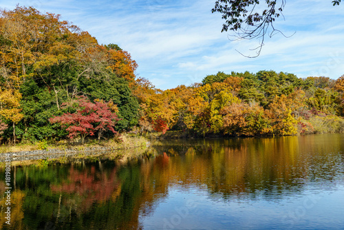 紅葉に染まる秋の空と湖