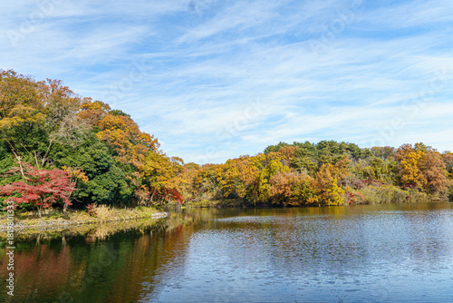 紅葉に染まる秋の空と湖