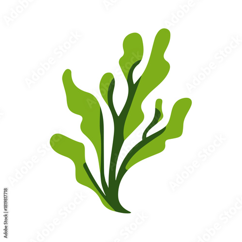Attractive Minimalist illustration, A clipart flat 2D icon, minimal design, simple illustration with EPS format design of a kelp frond isolated on white and transparent background