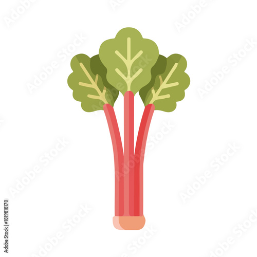 Attractive Minimalist illustration, A clipart flat 2D icon, minimal design, simple illustration with EPS format design of a rhubarb stalk isolated on white and transparent background
