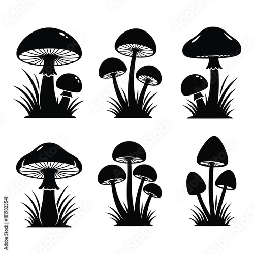 Mushroom silhouettes set featuring various fungi and grass on white