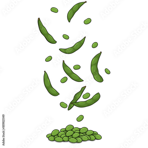 Edamame beans isolated on white background. Vector illustration of edamame.