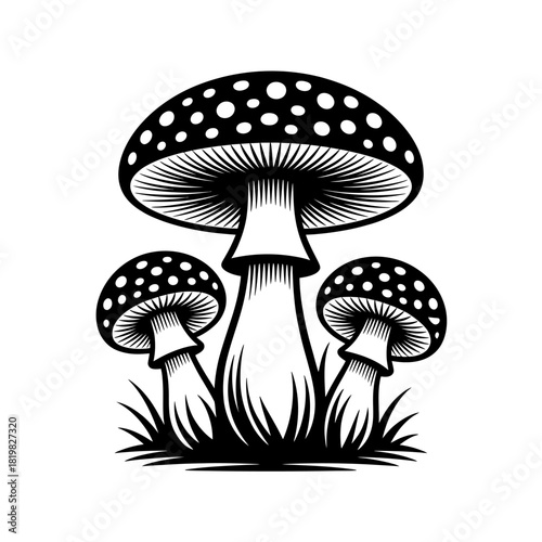 Elegant Black and White Mushroom Cluster Detailed Illustration for Art and Design Projects Stock Image