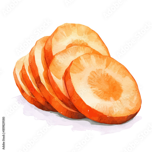 Watercolor_style_painting_of_a_sliced_orange_carrot_on_a_white_Hand-painted style, vectorized, vector set available in EPS