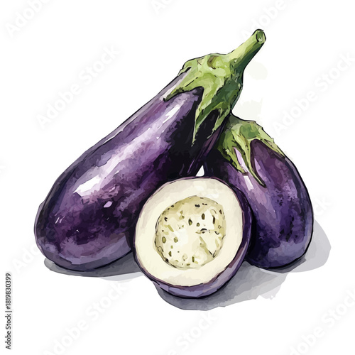 Purple sliced eggplant painting design set, Hand-painted style, vectorized, vector set available in EPS, Simple Hand-painted watercolor style