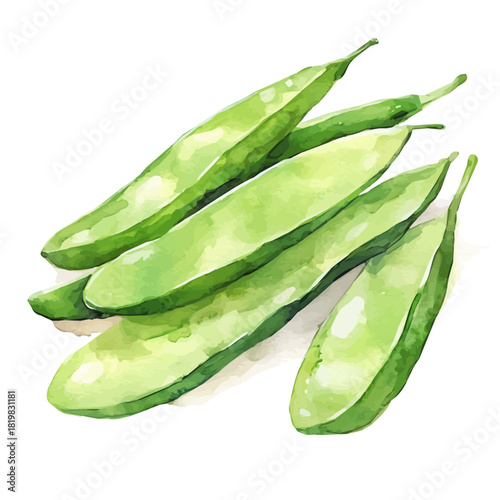 Beautiful sliced green bean painting design set Hand-painted style, vectorized, vector set available in EPS, Simple Hand-painted watercolor style