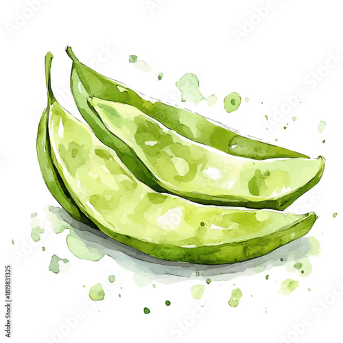 A sliced green bean painting design set Hand-painted style, vectorized, vector set available in EPS, Simple Hand-painted watercolor style