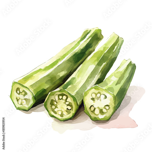 Creative sliced okra painting design set Hand-painted style, vectorized, vector set available in EPS, Simple Hand-painted watercolor style