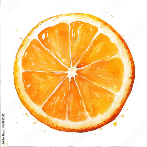 Beautiful sliced orange painting design set Hand-painted style, vectorized, vector set available in EPS, Simple Hand-painted watercolor style