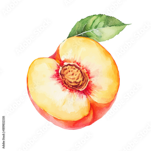 Simple Beautiful peach painting design set Hand-painted style, vectorized, vector set available in EPS, Simple Hand-painted watercolor style