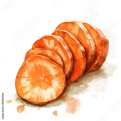 Illustration of sliced sweet potato painting design set, Hand-painted style, vectorized, vector set available in EPS, Simple Hand-painted watercolor style	