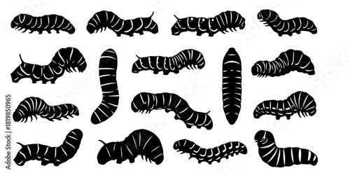 Caterpillar silhouettes collection, worm insect species, crawling larvae, entomology art, vector illustration, nature design, wildlife icon, garden pest, bug pattern, segmented body 
