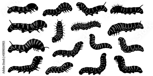 Caterpillar silhouettes collection, worm insect species, crawling larvae, entomology art, vector illustration, nature design, wildlife icon, garden pest, bug pattern, segmented body 