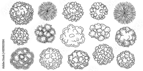 Top view tree canopy illustration set, diverse foliage textures, landscape greenery clipart, natural plant design, eco nature vegetation, outdoor environment vector 
