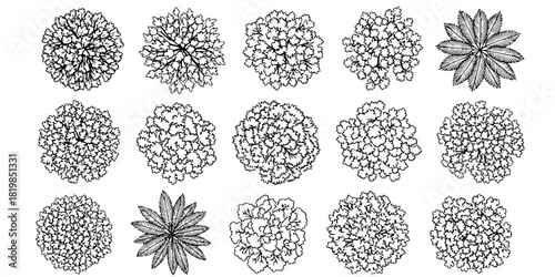 Top view tree canopy illustration set, diverse foliage textures, landscape greenery clipart, natural plant design, eco nature vegetation, outdoor environment vector 