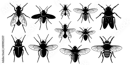 Insect silhouettes collection, fly mosquito bee species, winged bug icon, vector illustration, nature art, entomology design, wildlife fauna, pest control graphic