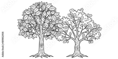 Green walnut tree and oak tree illustration, nature vector art, botanical design, forest plants, leafy trees, fruit-bearing trees, eco-friendly graphics, natural elements