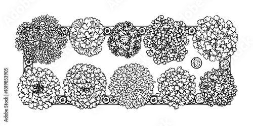 Top view tree canopies, landscape design, architectural plan, foliage diversity, botanical illustration, urban planning, garden layout, greenery clipart, environment element