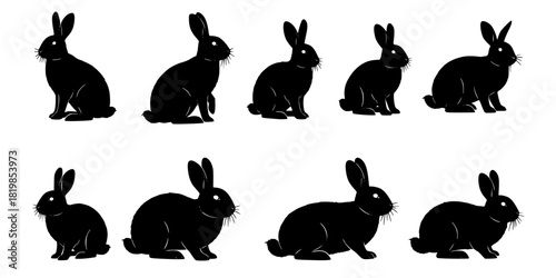 Rabbit silhouette collection, sitting poses, bunny illustration set, animal posture study, black silhouette art, wildlife design, rabbit breed reference, pet artwork