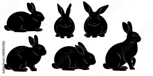 Rabbit silhouette collection, sitting poses, bunny illustration set, animal posture study, black silhouette art, wildlife design, rabbit breed reference, pet artwork