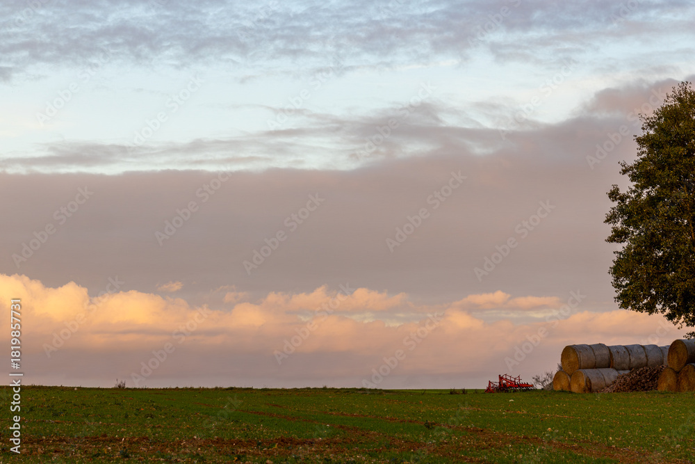 Obraz premium peaceful rural landscape