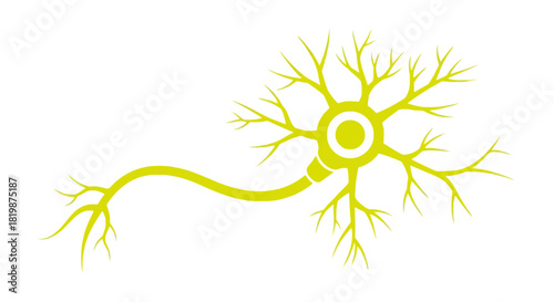 Illustration of a Neuron A Simplified Representation of a Nerve Cell in Science