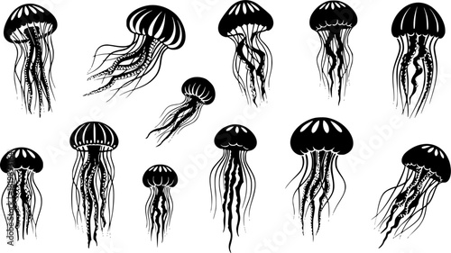 Jellyfish silhouette, Jellyfish vector illustration, Jellyfish, Jellyfish icon set, Jellyfish clipart, Jellyfish silhouette bundle