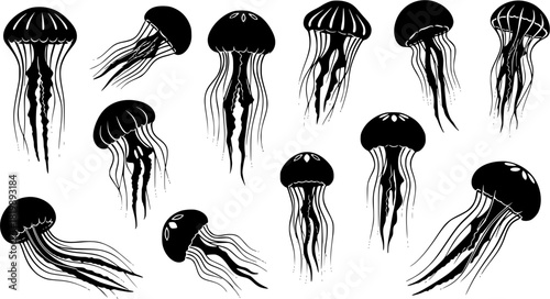 Jellyfish silhouette, Jellyfish vector illustration, Jellyfish, Jellyfish icon set, Jellyfish clipart, Jellyfish silhouette bundle