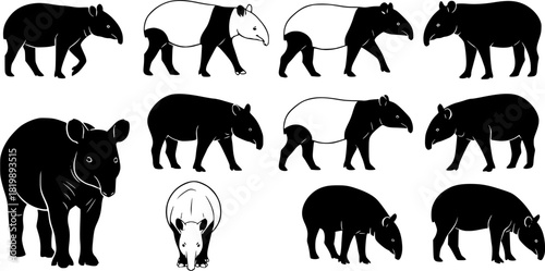 Tapir silhouettes, Malayan tapir silhouette, Tapir vector set, Tapir, Tapir animal bundle
