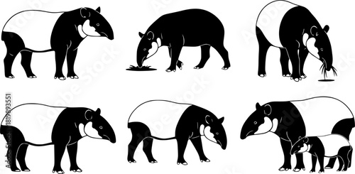 Tapir silhouettes, Malayan tapir silhouette, Tapir vector set, Tapir, Tapir animal bundle