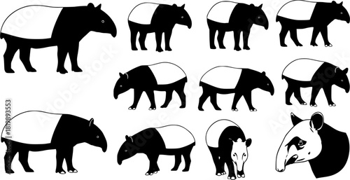 Tapir silhouettes, Malayan tapir silhouette, Tapir vector set, Tapir, Tapir animal bundle