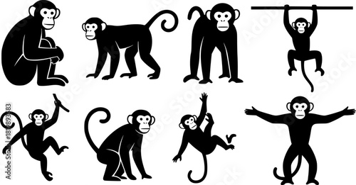 Monkey silhouettes, Monkey silhouette collection, Sitting monkey silhouette, Monkey, Monkey clipart, Monkey