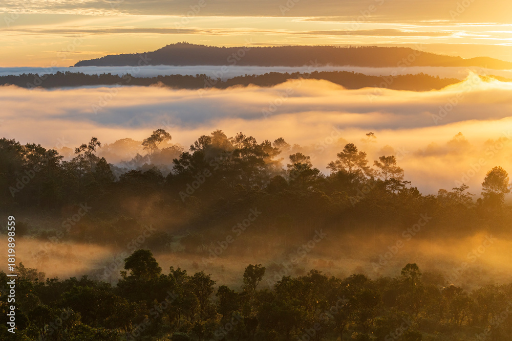 Obraz premium Stunning mountain landscape at sunrise with sea of mist and golden sky. Panoramic scenic view of layered mountains, fog and dramatic clouds at dawn.Thung salang luang.Thailand.Sala Dusita.