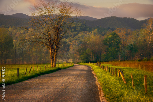 Spring Sunrise, Cades Cove, Great Smoky Mountains National Park 