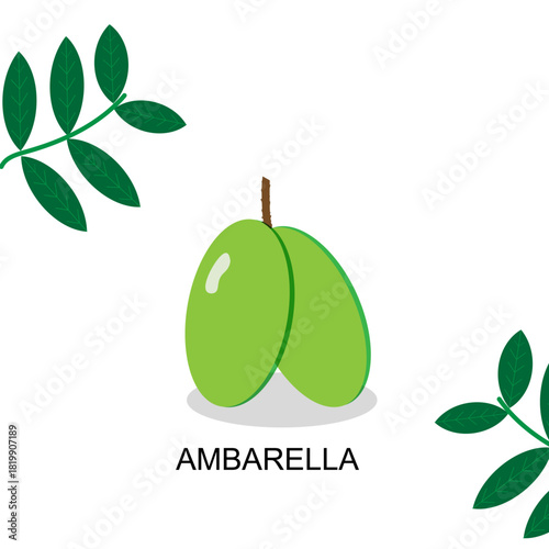 green ambarella