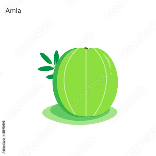 amla fruit