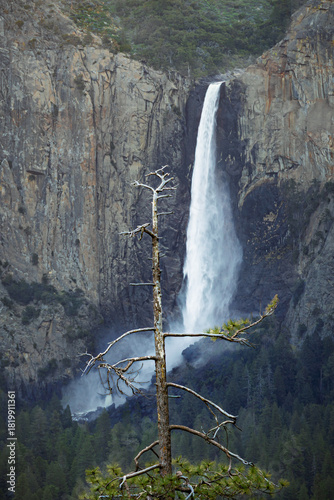 Obraz na plátne Bridalveil Fall, Yosemite National Park