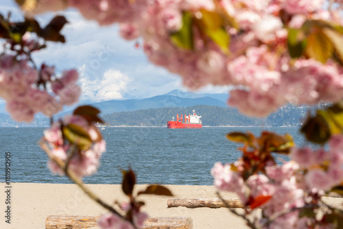 Quadro em tela Freighter and Cherry Blossoms English Bay