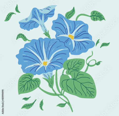 Blue morning glory floral illustration in modern botanical style